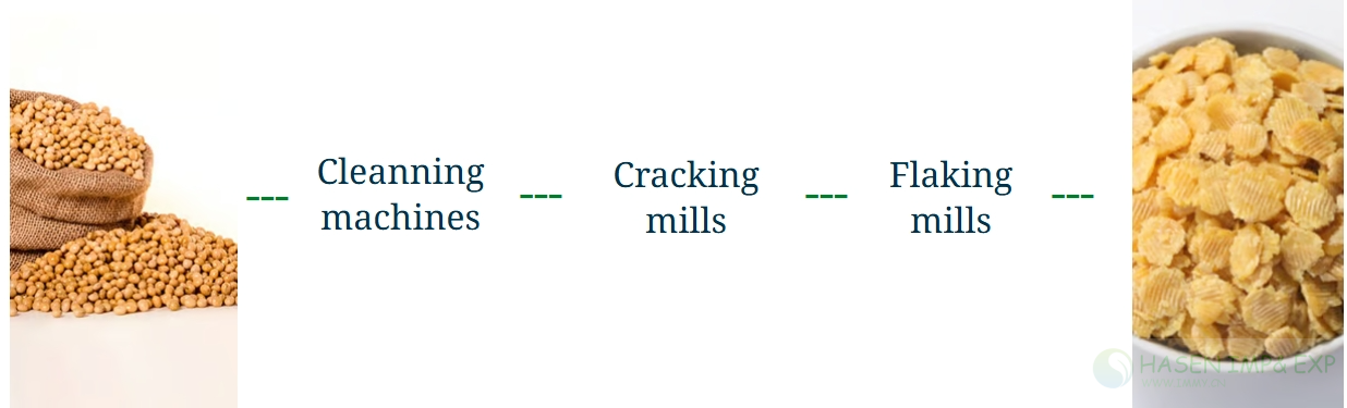 PROCESSING OF OAT FLAKING MACHINE LINE.png