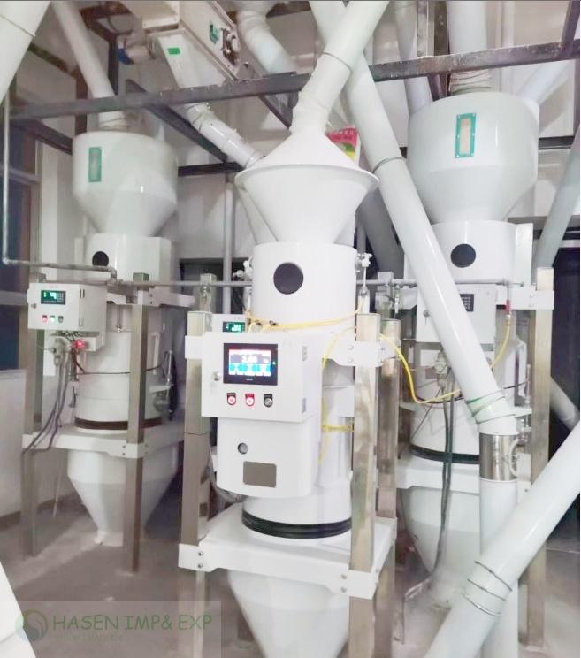 Flow Scale (4)_Copy_Copy.jpg