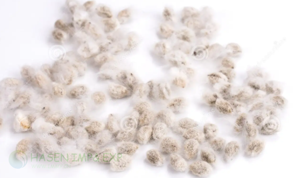 Wuxi Hasen Cotton Seeds Separator in Cotton seed separation: www.immyhitech.com .jpg.png