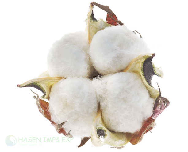 Wuxi Hasen Cotton Seeds Separator in Cotton seed separation: www.immyhitech.com .jpg.png