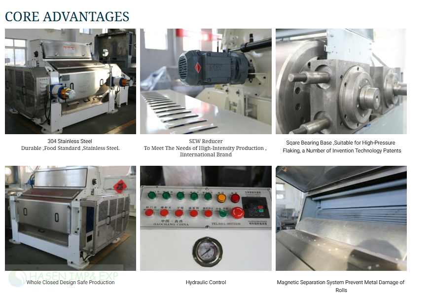 Wuxi Hasen Cotton Seeds Separator in Cotton seed separation: www.immyhitech.com .jpg.png Wuxi Hasen Cotton Seeds Separator in Cotton seed separation: www.immyhitech.com .jpg.png