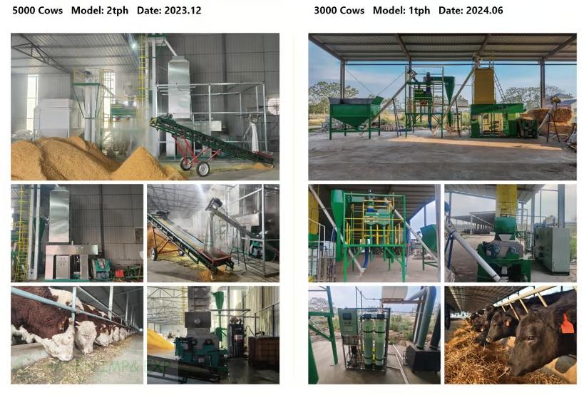 Wuxi Hasen All in One Corn flake machine Cotton Seeds Separator in Cotton seed separation: www.immyhitech.com .jpg.jpg Wuxi Hasen All in One Corn flake machine Cotton Seeds Separator in Cotton seed separation: www.immyhitech.com .jpg.jpg